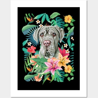 Tropical Neapolitan Mastiff Posters and Art